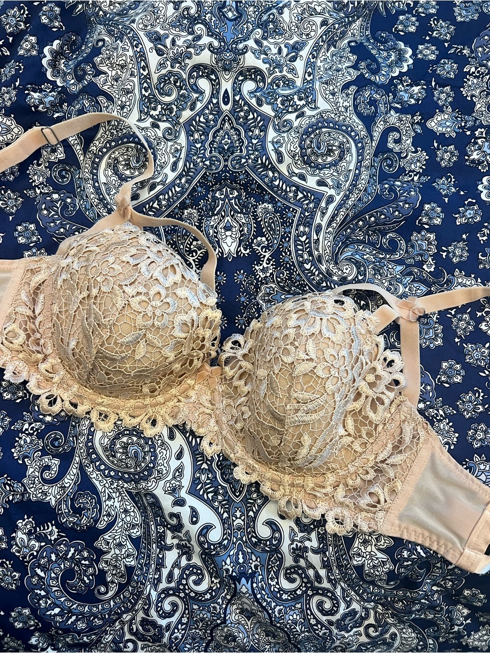 Dita Von Teese Dahlia Floral Lace Underwire Bra with Scalloped Trim